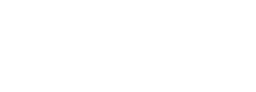 Vector International